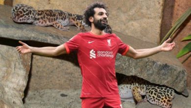 البرص المصري ينتزع من محمد صلاح لقب فخر العرب alarabtrend.com