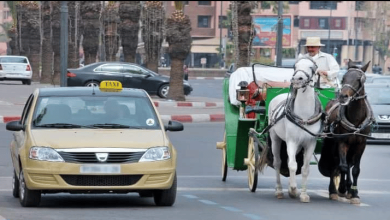 سائق سيارة أجرة مغربي ينصب على سائح بريطاني