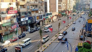 جاء ليسانده في أزمته الصحية...مصري يقتل والده بطريقة مأساوية